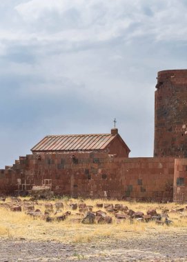 Ayrıntılar. Dashtadem Kalesi, VXIX. Yüzyıl, Ermenistan 'ın taş duvarı..