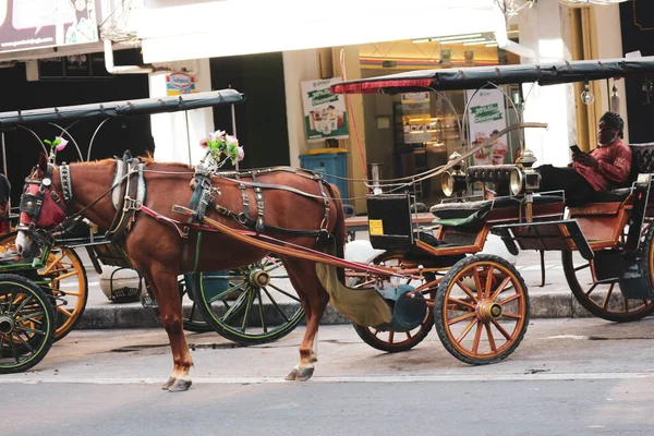 2022年10月23日 印度尼西亚日惹 Andong 或马车 Horse Drawn Carriage 其车夫停在加兰马利奥博罗上 等候乘客 通常去日惹度假的游客会开车去 — 图库照片