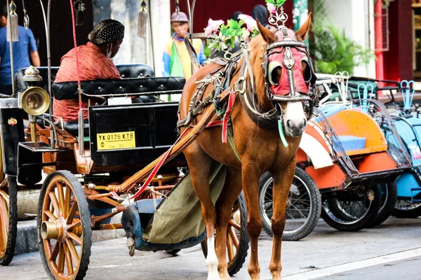 Γιογκιακάρτα Ινδονησία Οκτωβρίου 2022 Andong Άμαξα Άλογο Αμαξά Του Σταθμευμένο — Φωτογραφία Αρχείου