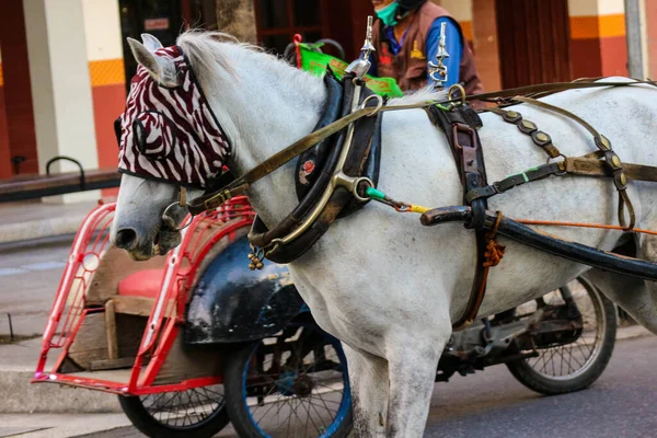 Γιογκιακάρτα Ινδονησία Οκτωβρίου 2022 Andong Άμαξα Άλογο Αμαξά Του Σταθμευμένο — Φωτογραφία Αρχείου
