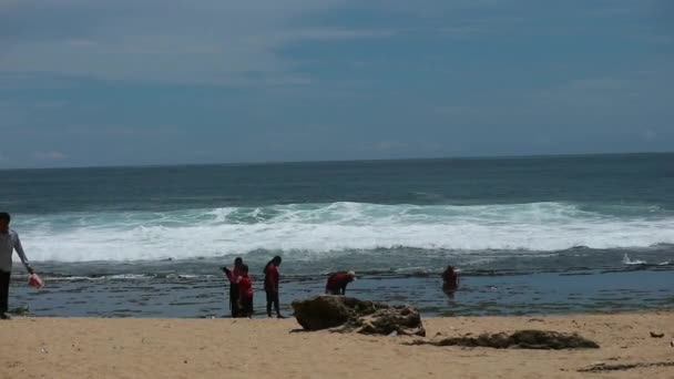 Yogyakarta Indonesien Oktober 2022 Touristen Und Familien Die Strand Von — Stockvideo