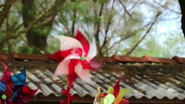 Rood Wit Plastic Windmolen Speelgoed Dat Beweegt Wind Beelden Genomen — Stockvideo