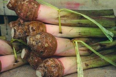 Taro Latince adı Colocasia esculenta olan bir yumru türüdür. Bu, kek, cips, kompote, köpüklü çaydan karışık buza kadar çeşitli lezzetli yiyeceklere dönüştürülebilen bir bitki..
