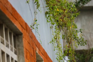 Tuğlaların dizilişi çok güzel bir yapı duvarı oluşturuyor. Çok ilginç bir geometrik dokunuşla. Desen ya da arkaplan olarak mükemmel.