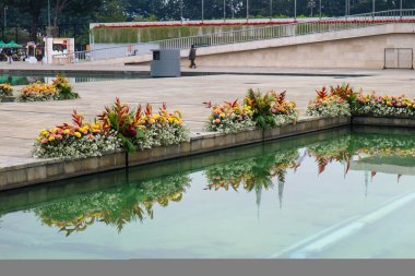 Marigold çiçeği Tagetes erecta L, parlak bir renge sahiptir, yani parlak sarı renge. Bu çiçek genellikle bir süs bitkisi olarak toplanır ve düğünlerde yaygın olarak kullanılır..