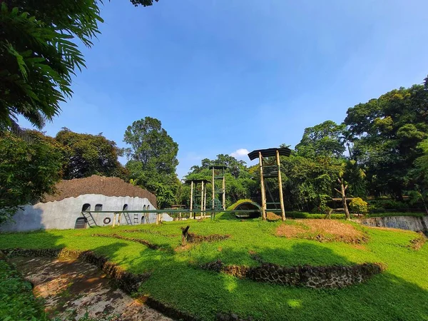 Landscape architecture of a monkey, chimpanzee or orangutan enclosure at the Ragunan Zoo, Jakarta.