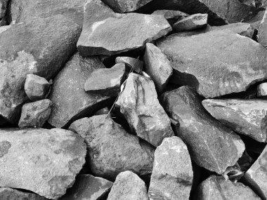 One example of photo composition by way of Fill The Frame. Broken rocks photographed at close range so that all the photo frames are filled with them. It is suitable for backgrounds or for 3D rendering textures.
