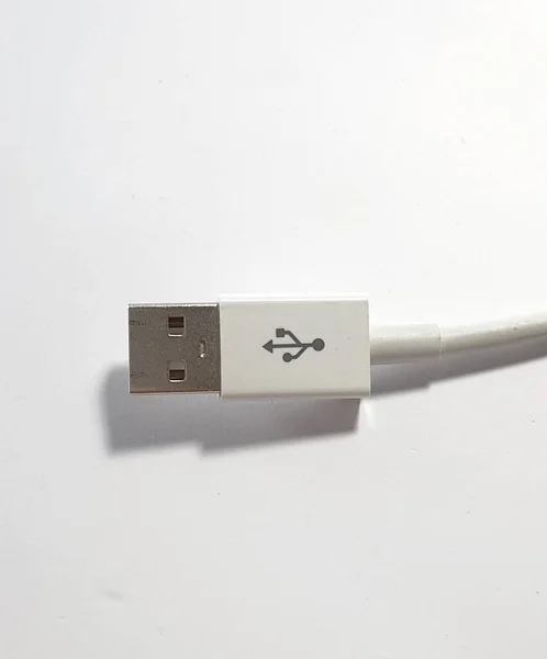 This is isolated white a photo of the USB white cable.