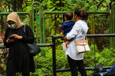 Jakarta, Indonesia in December 2022. The Zoo in Ragunan is one of the favorite places for small and large families which is very crowded during holidays. In this place children can get to know various kinds of animals.