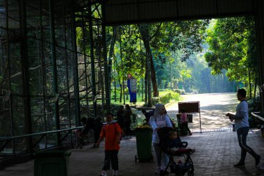 Jakarta, Indonesia in December 2022. The Zoo in Ragunan is one of the favorite places for small and large families which is very crowded during holidays. In this place children can get to know various kinds of animals.