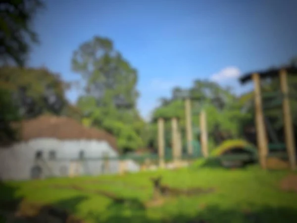 Stock image Defocused blurred photo of a chimpanzee or orangutan enclosure at the Ragunan Zoo. Very green, lush and fun.