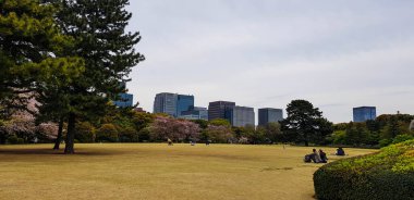 Tokyo, Japonya Nisan 2019. Tokyo Ulusal Parkı 'nın tadını çıkaran turistler. Shinjuku Gyoen Ulusal Bahçesi, Japonya 'nın Shinjuku ve Shibuya bölgelerinde büyük bir parktır. Aslında, bu bahçe Edo döneminde Naito ailesinin eviydi.
