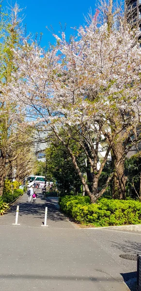 Tokio Japan April 2019 Street View April Buurt Van Kitahanebashi — Stockfoto