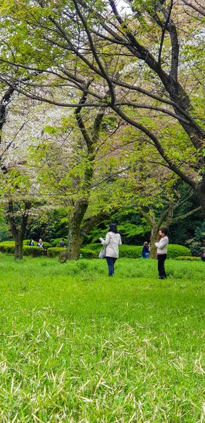 2019 공원을 즐기는 관광객들 신주쿠 신주쿠 신주쿠와 시부야 지역에 공원이다 — 스톡 사진
