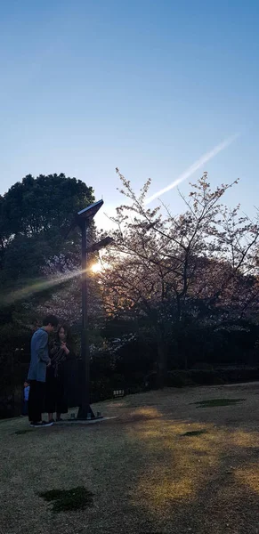 Tokyo Giappone Aprile 2019 Turisti Che Godono Parco Nazionale Tokyo — Foto Stock