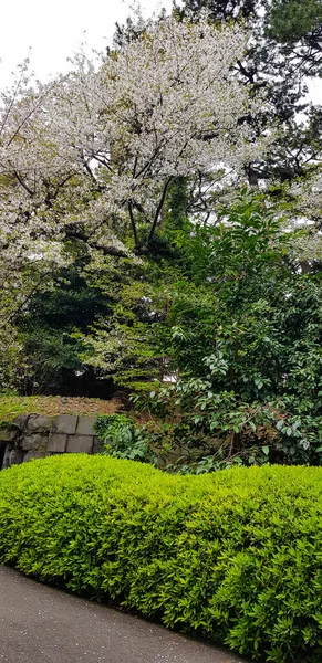 Esta Uma Foto Adega Pedra Ishimuro Nos Jardins Orientais Palácio — Fotografia de Stock