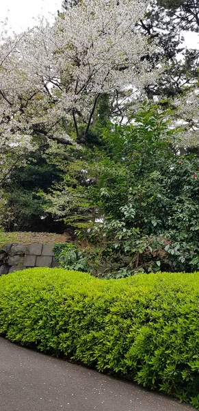 这是一张位于东京故宫东花园石室的照片 — 图库照片