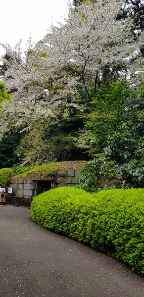 Фотография Каменного Подвала Исимуро Восточных Садах Императорского Дворца Токио — стоковое фото