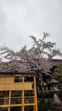 Kyoto, Japonya Nisan 2019. Inari Taisha Srine Toplantı Adına Saygı gösteren bir danışma kurulu. Bu işaret tahtadan yapılmıştır ve Fushimi Inari Taisha Tapınağı 'nın önündedir..