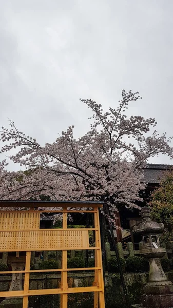 2019年4月 日本京都 一个向Inari Taisha Srine会议倡导者命名致敬的信息委员会 这标志是用木料做的 在抚顺寺前面 — 图库照片