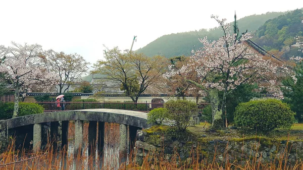 Der Zustand Eines Der Japanischen Gärten Arashiyama Späten Frühjahr Einige — Stockfoto