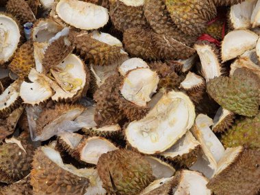 Sineklerle çevrili Durian deri atıkları. Durian derisi nişasta, pektin, temel yağlar, tatlar, saponinler, selüloz, lignin ve etanol bileşikleri içerir.