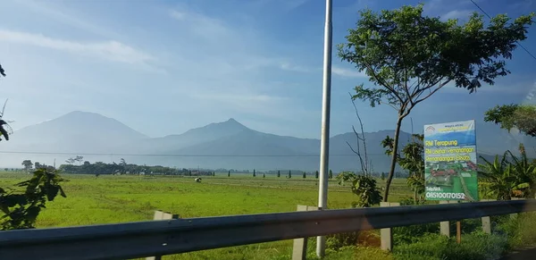青空と白い雲と緑の田んぼや庭園の景色 彼の後ろには山のシルエットが見える この景色は ヨガジャカルタへの道を行くときの景色です — ストック写真