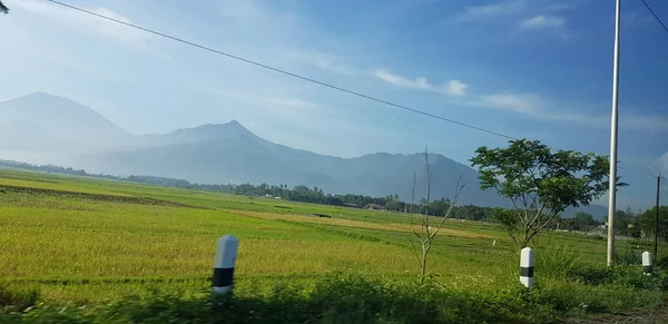 Yeşil Pirinç Tarlaları Mavi Gökyüzü Beyaz Bulutlu Bahçeler Arkasındaki Dağın — Stok fotoğraf