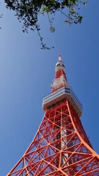 2023年10月8日 東京都港区東京タワー 東京タワーは1958年に建設された通信 観測塔です 332 9メートルで 日本で2番目に大きな建造物です — ストック動画