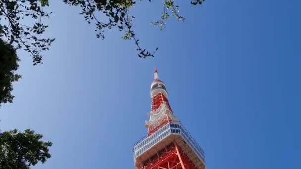 Токіо Японія Жовтня 2023 Токійська Вежа Мінато Сіті Токіо Токійська — стокове відео
