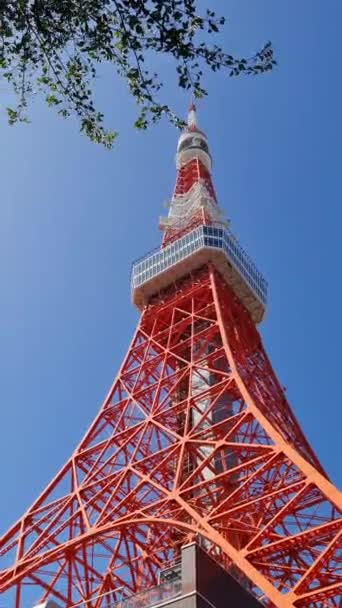 Токио Япония Октября 2023 Года Токийская Башня Минато Токио Токийская — стоковое видео