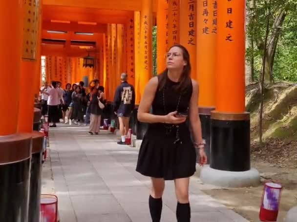 Kyoto Japan Oktober 2023 Viele Touristen Aus Asien Amerika Und — Stockvideo