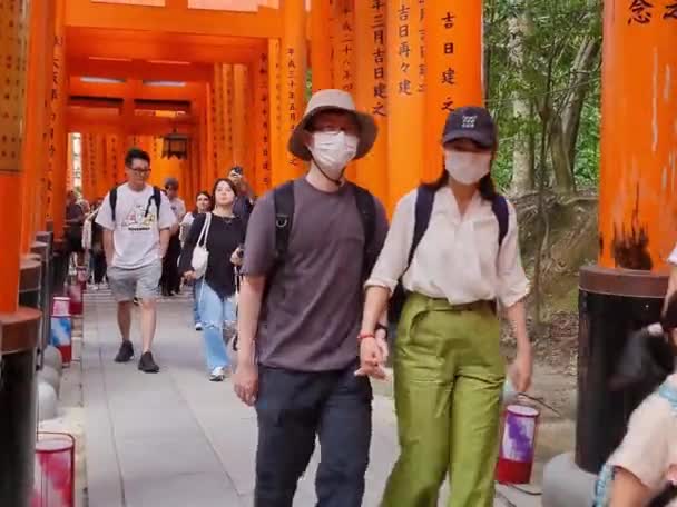 Kyoto Japan Oktober 2023 Veel Toeristen Uit Azië Amerika Europa — Stockvideo