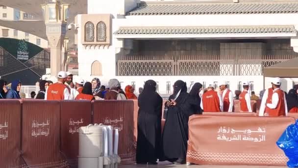 Medina Saudiarabien Den Mars 2024 Köer Kvinnliga Umrah Pilgrimer Från — Stockvideo