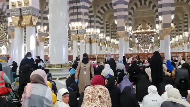 Medina Saudi Arabien März 2024 Die Zustände Frauengebetsraum Der Nabawi — Stockvideo
