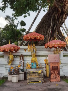 Bangkok, Tayland, 26 Temmuz 2023. Wat Pho 'daki tanrı ve tanrıça heykellerinin yanı sıra insanlar ve hayvanlar bu tapınağın her köşesine dağıldı. Yaslanan Buda 'nın Tapınağı