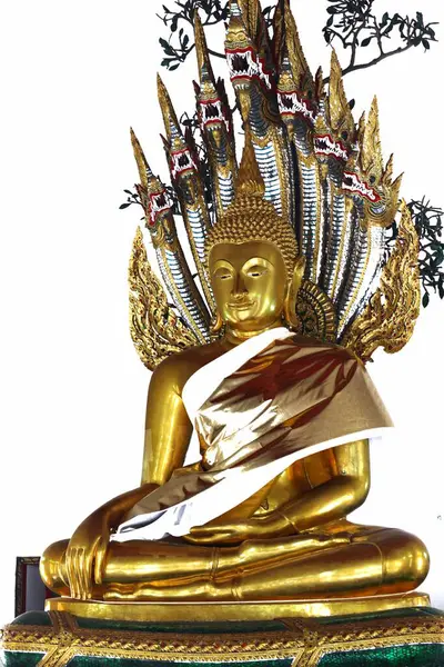 Bangkok, Tayland, 26 Temmuz 2023. Wat Pho 'daki tanrı ve tanrıça heykellerinin yanı sıra insanlar ve hayvanlar bu tapınağın her köşesine dağıldı. Yaslanan Buda 'nın Tapınağı