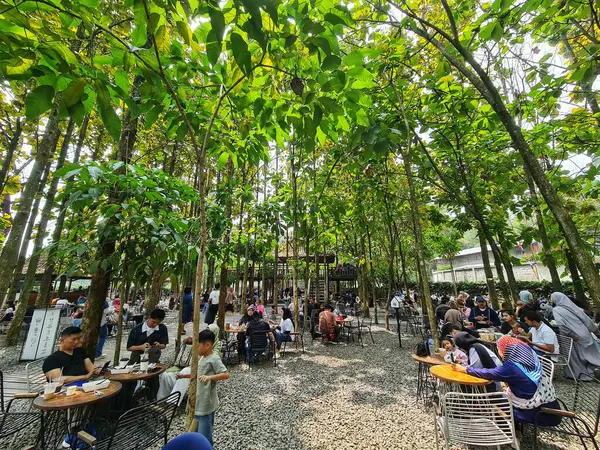Bogor, Endonezya 23 Ağustos 2024. Bogor 'da ünlü bir kafe olan Kopi Nako Kebon Jati' nin atmosferi. Güzel ve rahat bir atmosferi var. Kahve ve çeşitli yiyecekler satıyorum. İnstagramlanabilir.