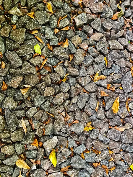 Bilgisayardaki fotoğrafı doldur, toprak tabakası için çakıl taşı ve üzerine düşen yapraklar. Çakıl taşı kullanımı onu kaygan yapmaz ve su hala toprağa sızabilir..