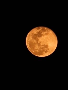 İşte kehribar ay, mürekkepli kara gece gökyüzüne hükmeden ateşli bir küre. Yüzeyi kraterlerle kaplı, karanlığa karşı sıcak bir şekilde parlıyor. Göksel güzelliğin atmosferik bir görüntüsü.