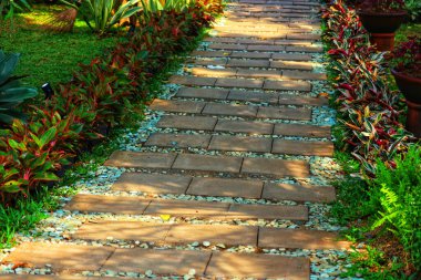 Güneşli bir bahçe yolu, canlı yaprakların arasına yerleştirilmiş sıcak taş levhaları işaret ediyor. Huzurlu ve davetkar, doğal güzelliğin mükemmel bir sahnesi..