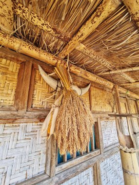 Kırsal gelenekleri ve kültürel mirası sergilemek için ideal olan hasat edilmiş pirinç ve boynuzlarla süslenmiş kırsal bir bambu evinin kapağı..