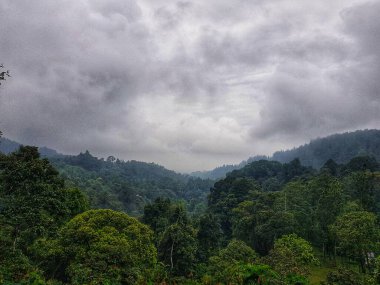 Yumuşak bulutlarla kaplanmış huzurlu dağ silsilesi masaüstü duvar kağıtları ya da doğa aşıkları için mükemmel sakin bir manzara yaratır..
