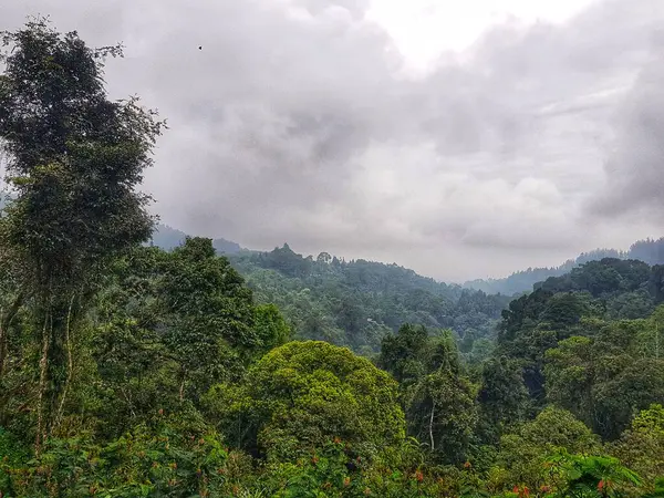 Sakin dağ manzarası bulutlu gökyüzünün altında canlı yeşil yapraklar sergiliyor Doğa aşıkları ve masaüstü geçmişleri için mükemmel.