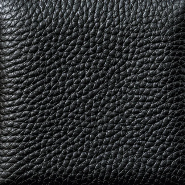 Textura Plana Cuero Negro Blanco — Foto de Stock