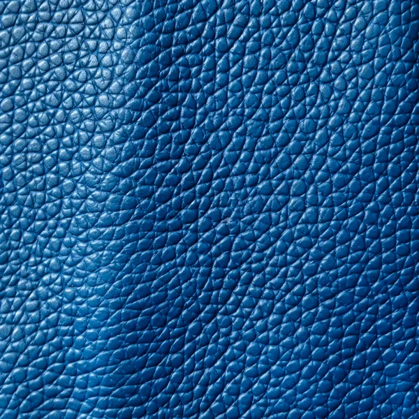 Textura Plana Cuero Azul Blanco — Foto de Stock
