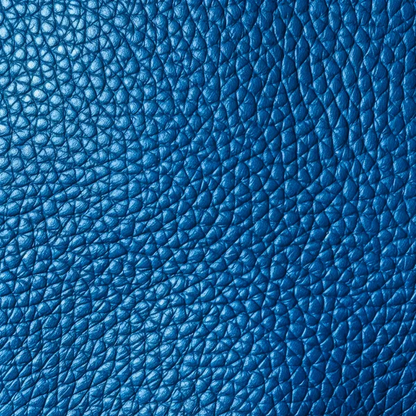 Flat Blank Blue Leather Texture — Stock Photo, Image
