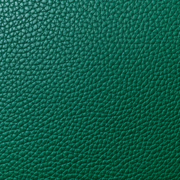 Textura Plana Cuero Verde Blanco — Foto de Stock