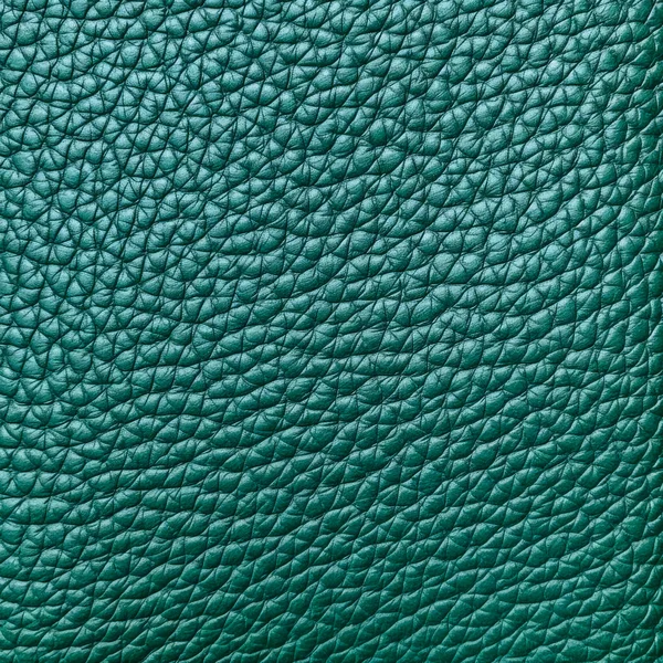 Textura Plana Cuero Verde Blanco — Foto de Stock