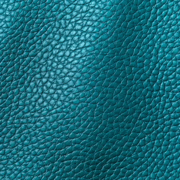 Flat Blank Teal Leather Texture — Stock Photo, Image